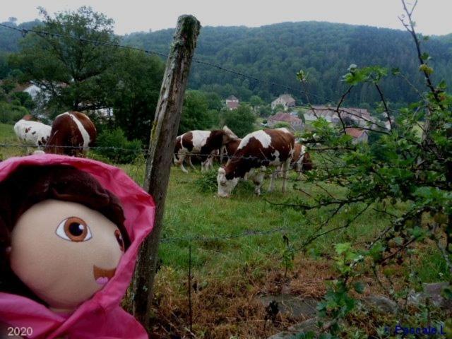 Gite Rural Les Maires D'Avaux Saint-Bresson 外观 照片