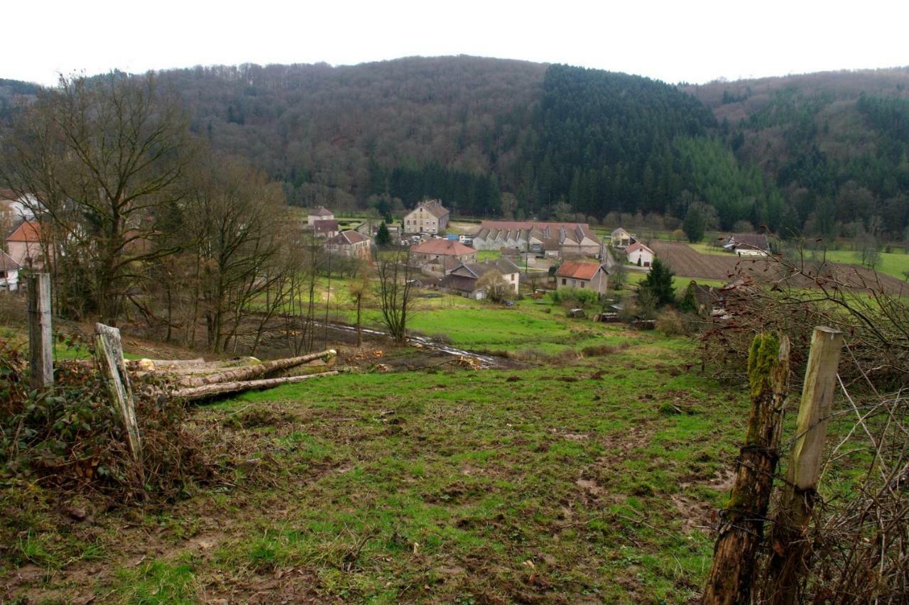 Gite Rural Les Maires D'Avaux Saint-Bresson 外观 照片