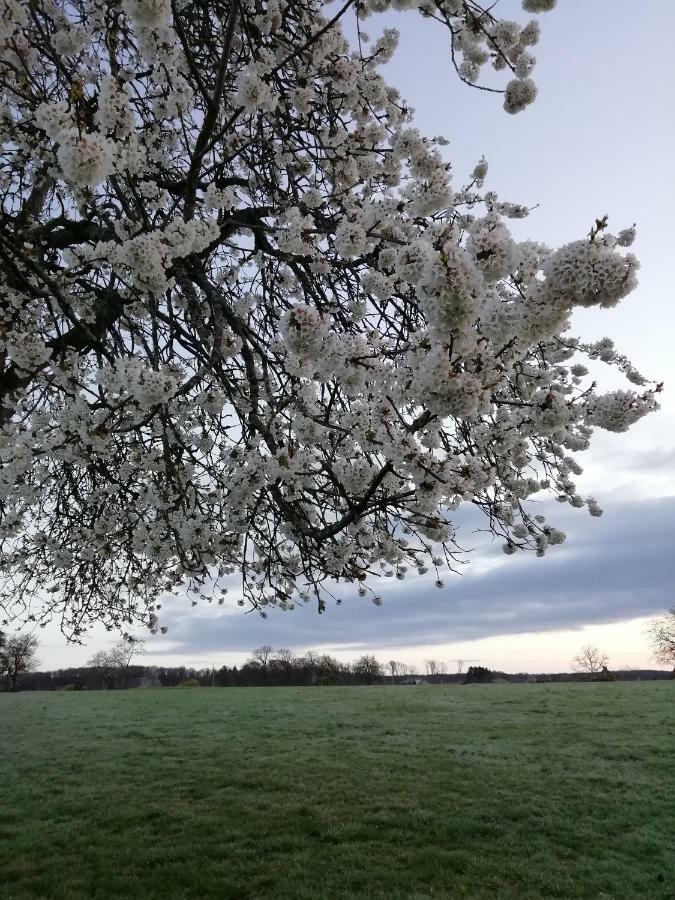 Gite Rural Les Maires D'Avaux Saint-Bresson 外观 照片